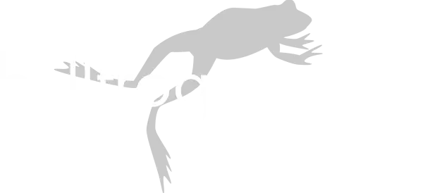 bullfrog logo