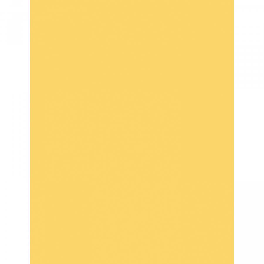 Sparco Laser Copy & Multipurpose Paper - 30% Recycled